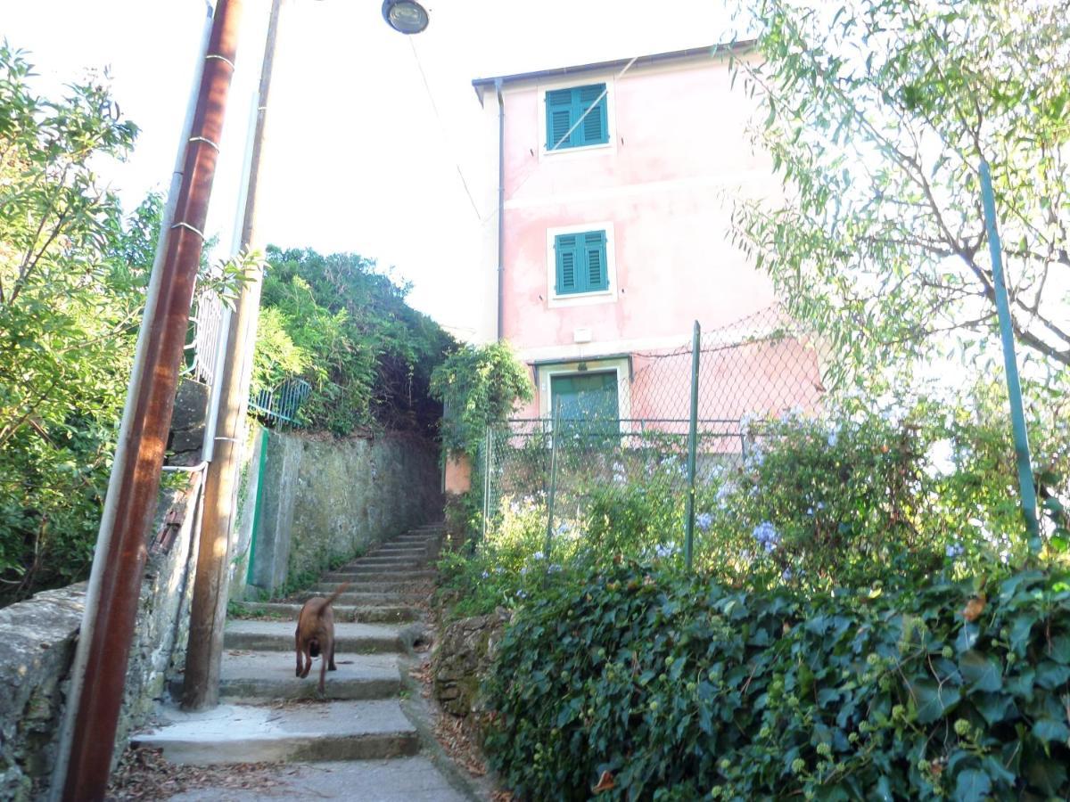 Portofino Mountain Unique Love Nest 圣洛可 外观 照片